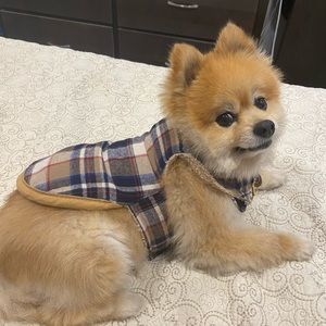 Eddie Bauer Brown Plaid Dog Jacket